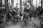 Hamburger Hill