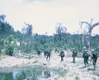 Hill 285